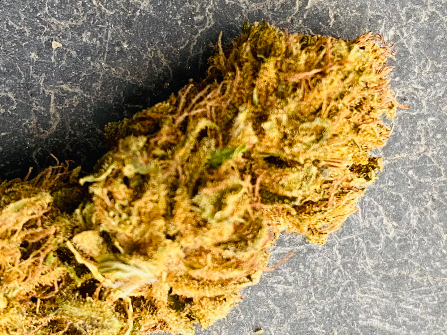 Fleurs de Bubble Gum CBD