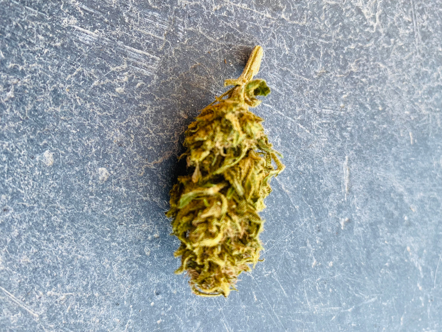 Fleurs de Orange Bubbha CBD