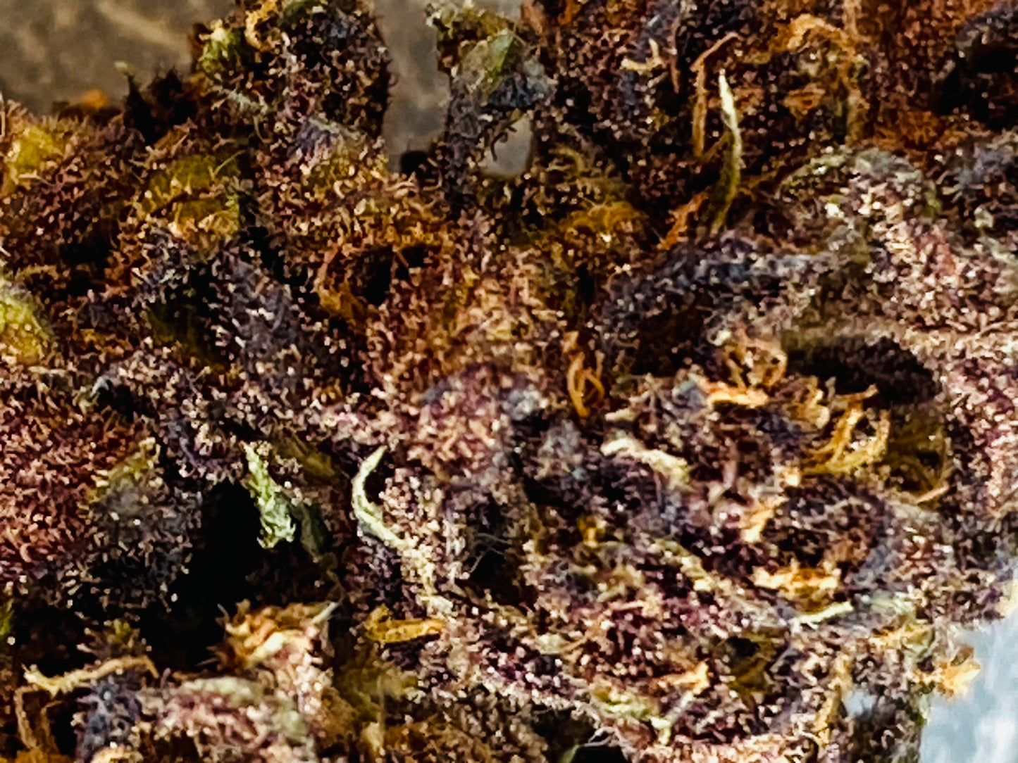 Fleurs de Légendary Platinium CBD