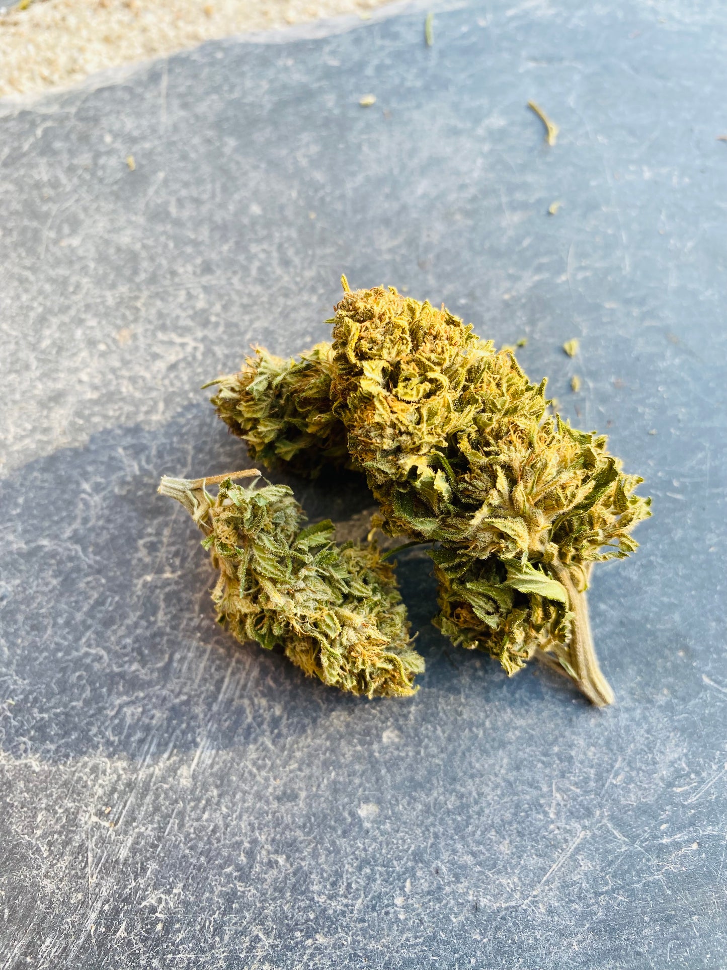 Fleurs de Enectarol CBG - L'étoile de chanvre