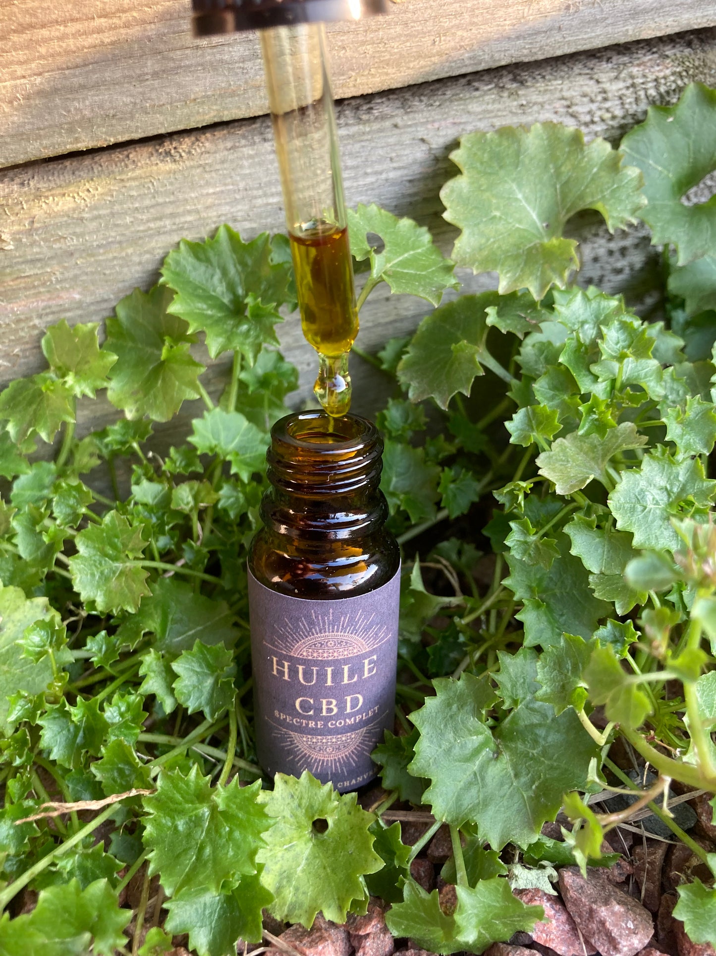 Huile CBD sublingual