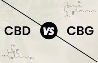 CBD vs CBG