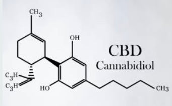 C’est quoi le CBD ? Guide simple pour comprendre