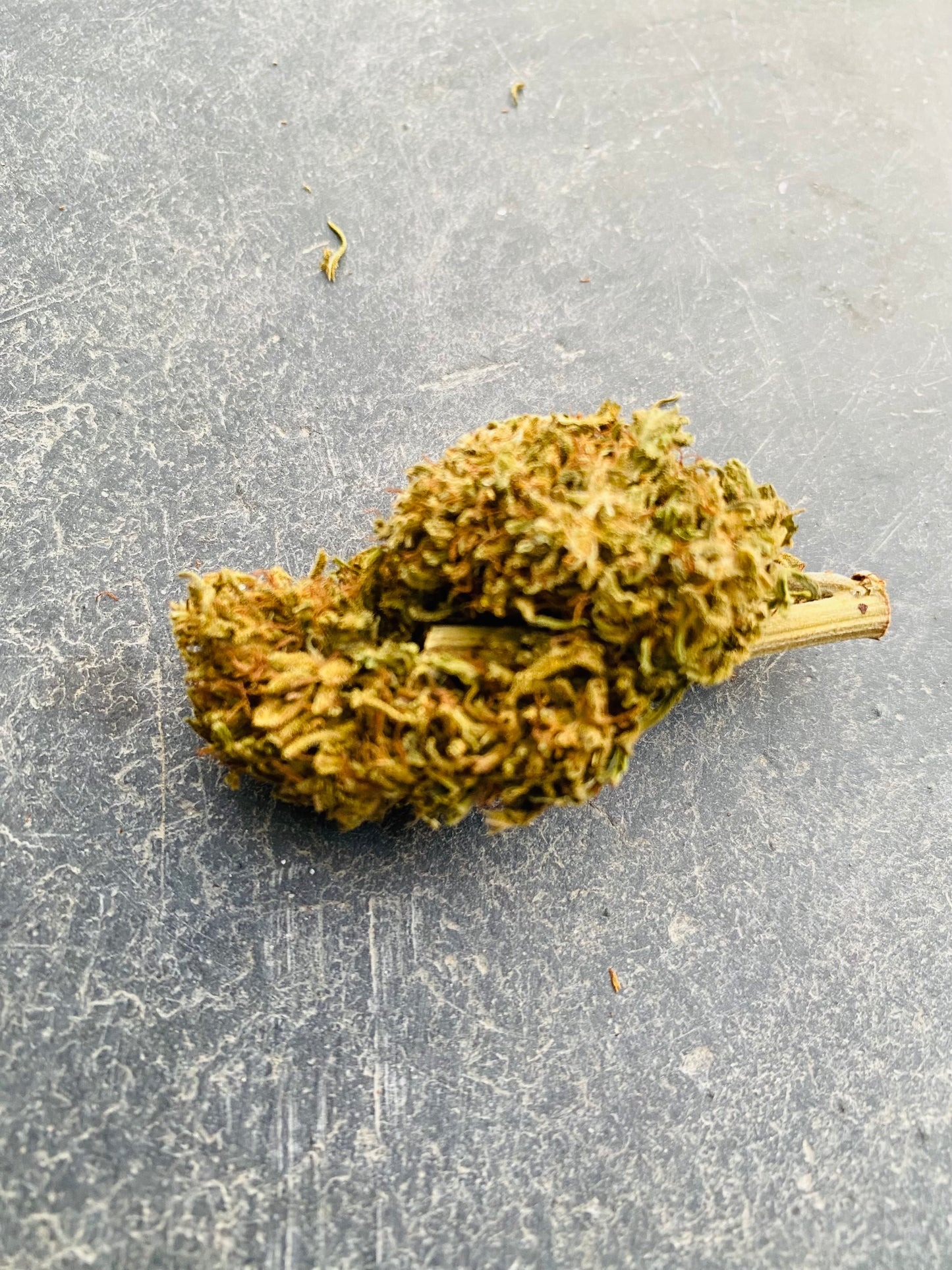Fleurs de Dinamed CBD
