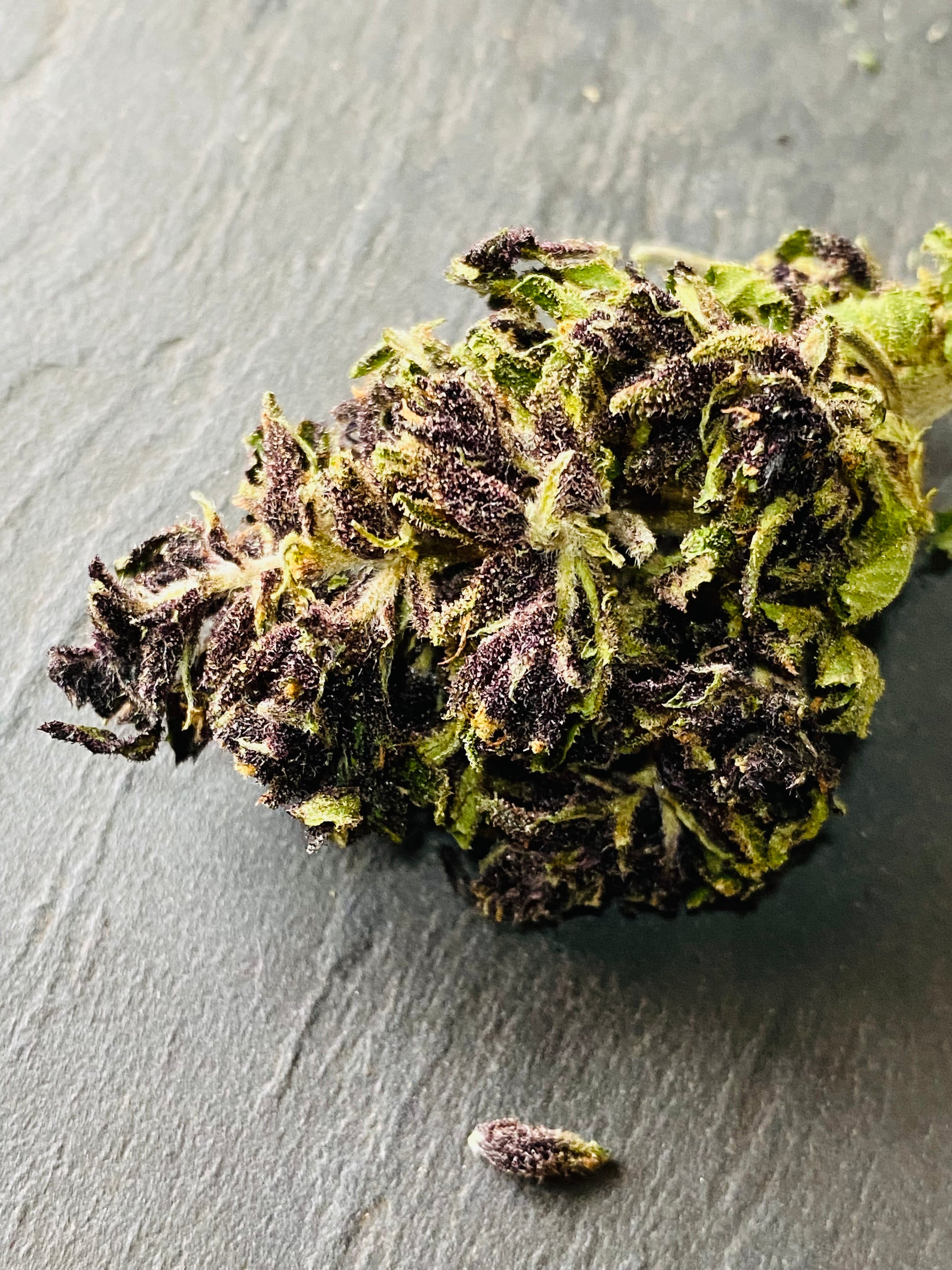 Fleurs de Heaven CBD - L'étoile de chanvre