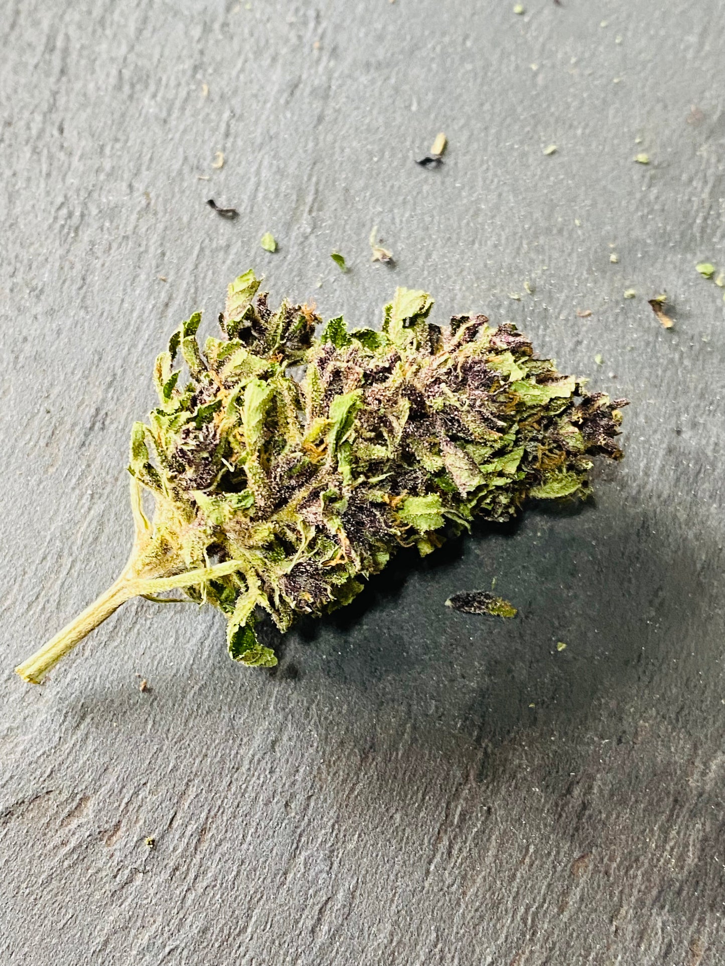 Fleurs de Heaven CBD - L'étoile de chanvre