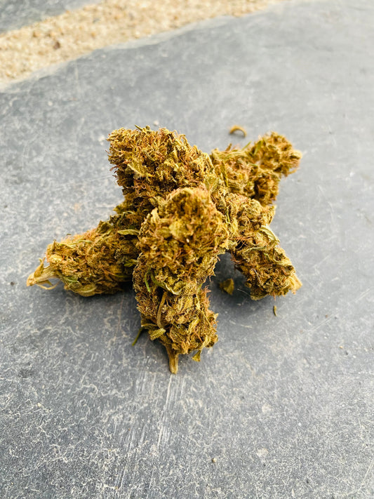 Fleurs de Bubble Gum CBD