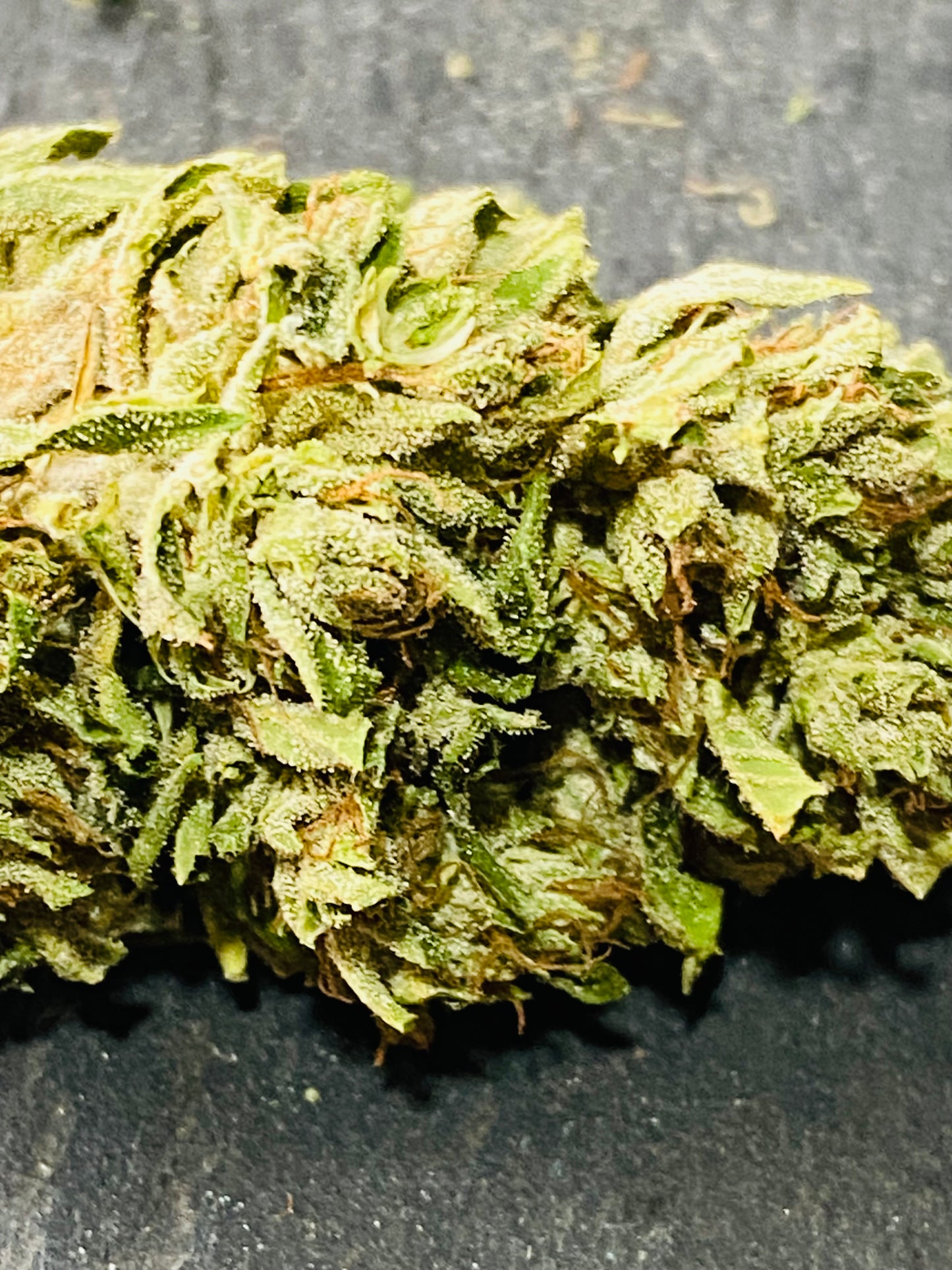 Fleurs de Frozen CBG