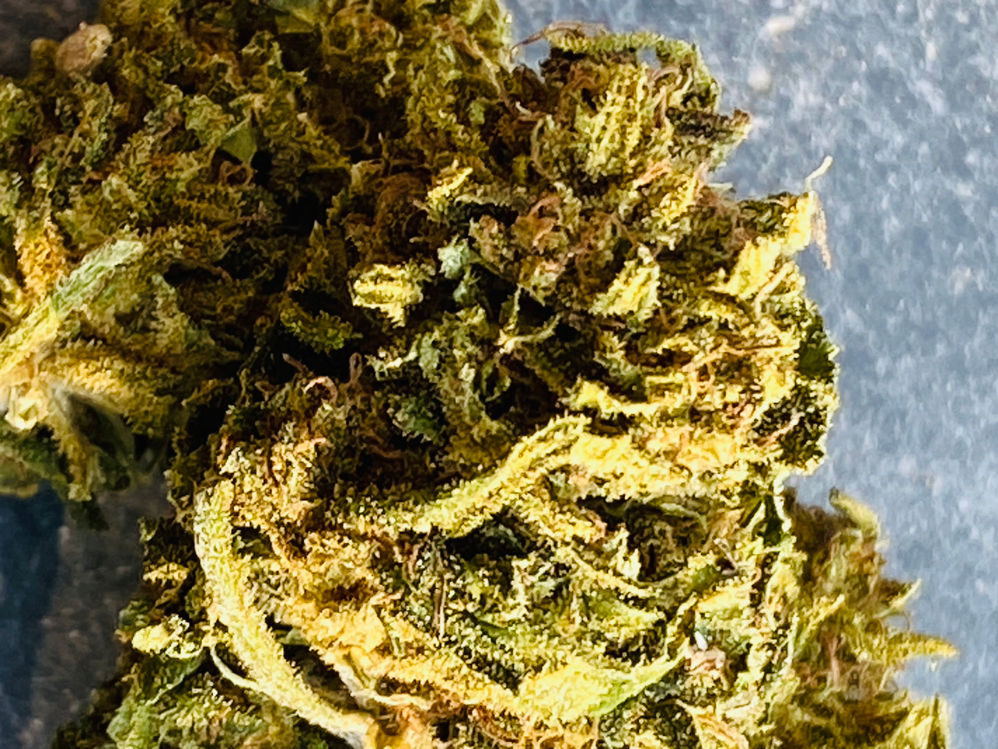 Fleurs de Orange Bubbha CBD