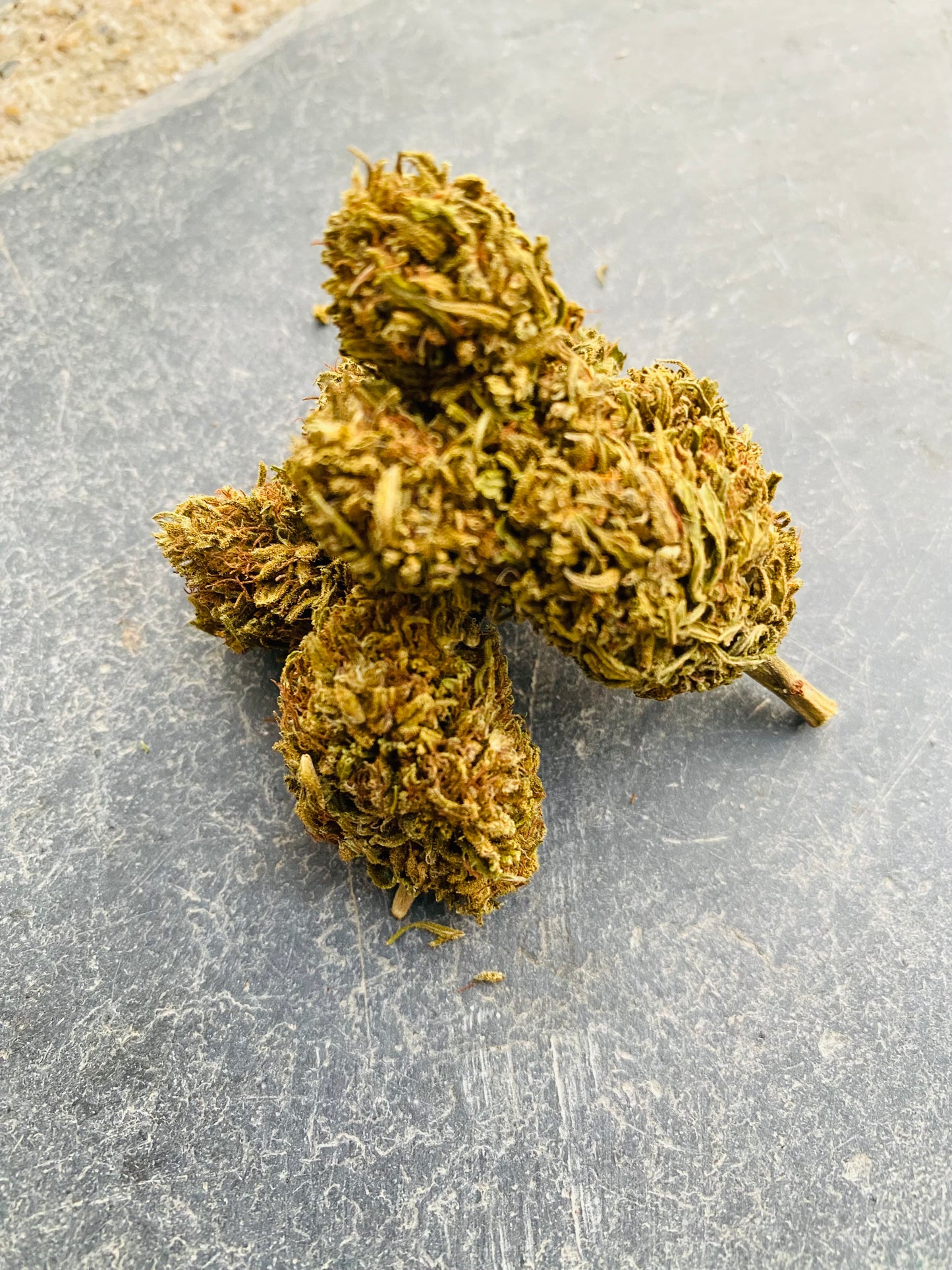 Fleurs de Dinamed CBD - L'étoile de chanvre