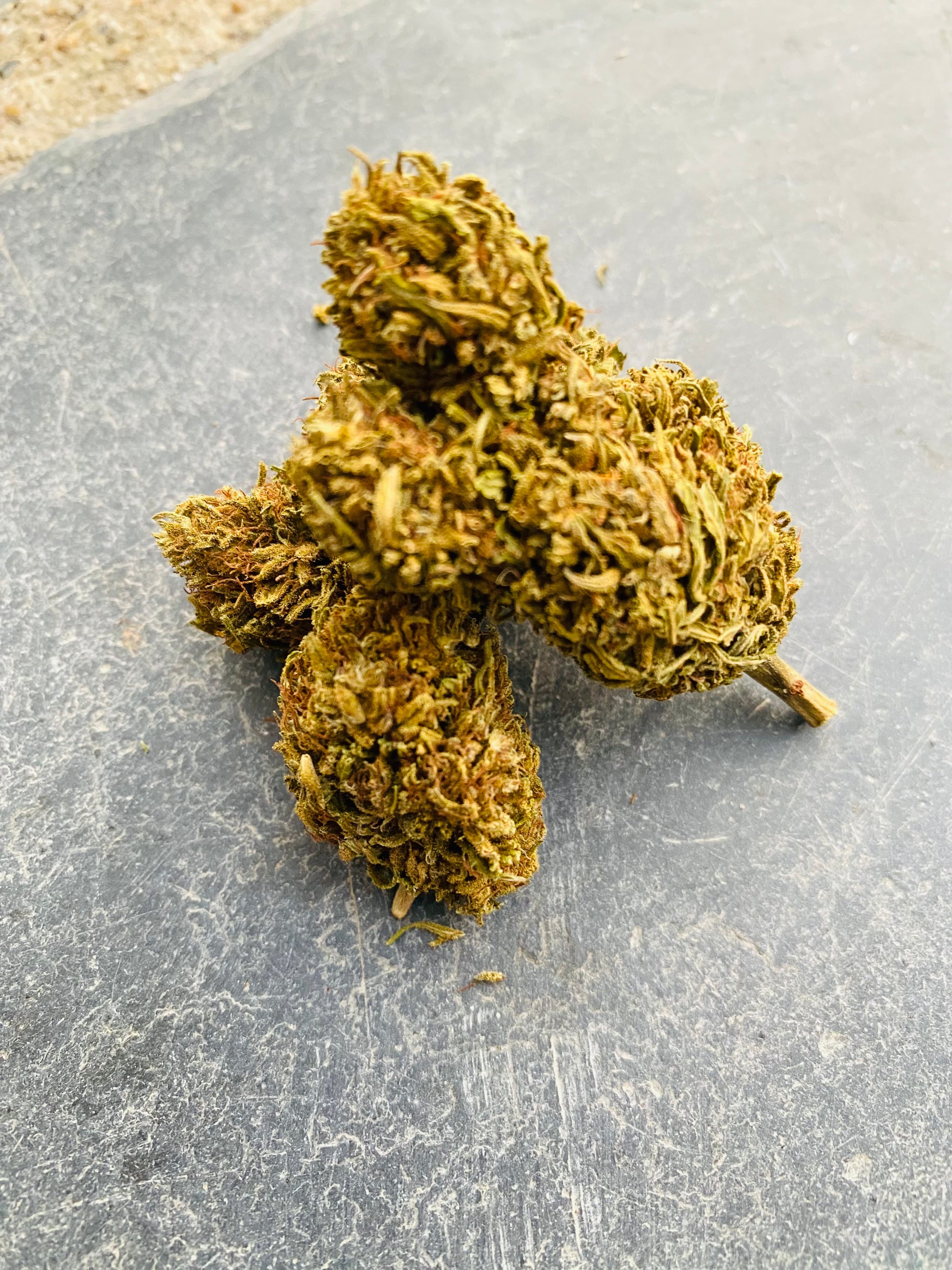 Fleurs de Dinamed CBD - L'étoile de chanvre