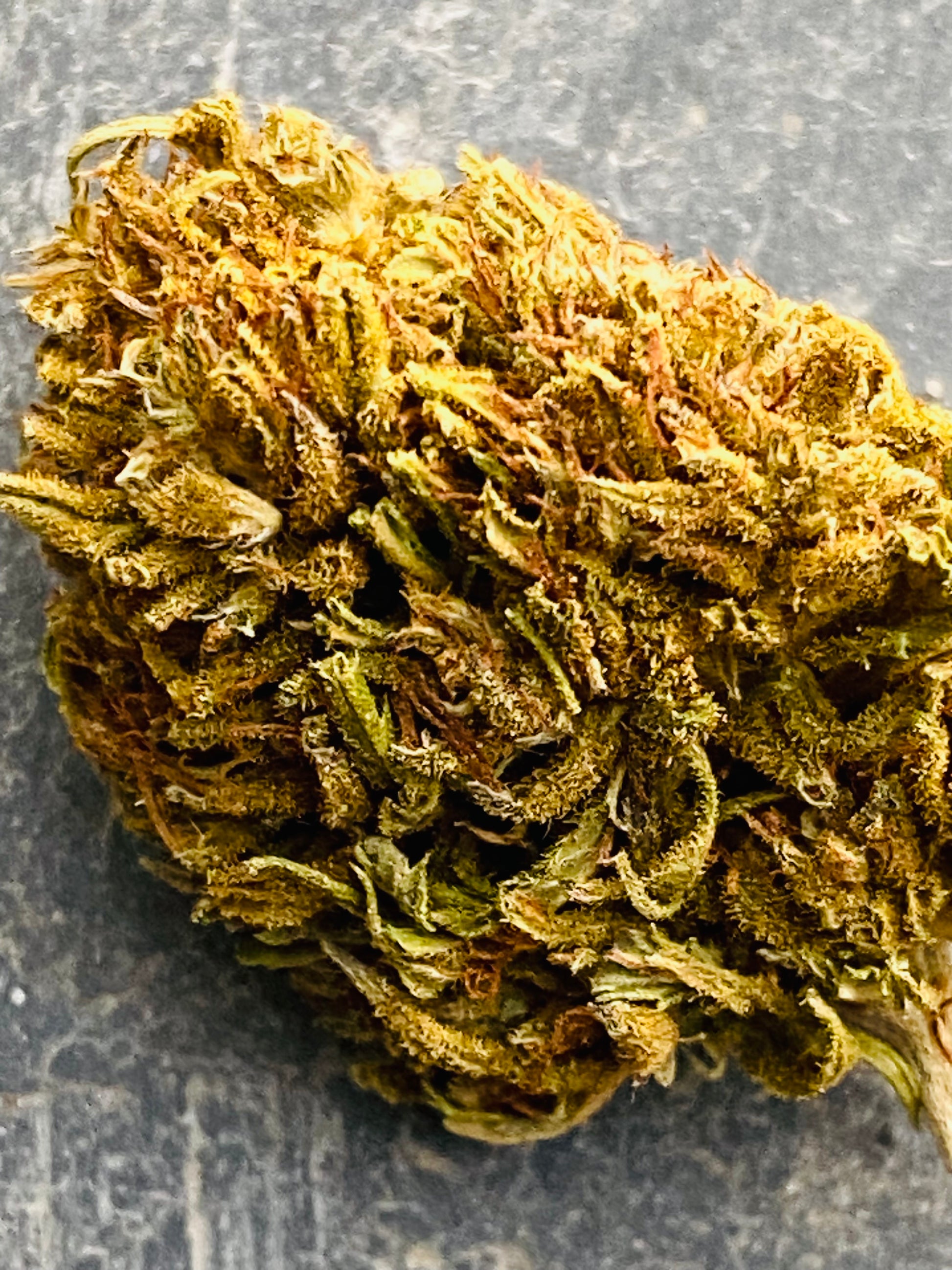 Fleurs de Dinamed CBD - L'étoile de chanvre
