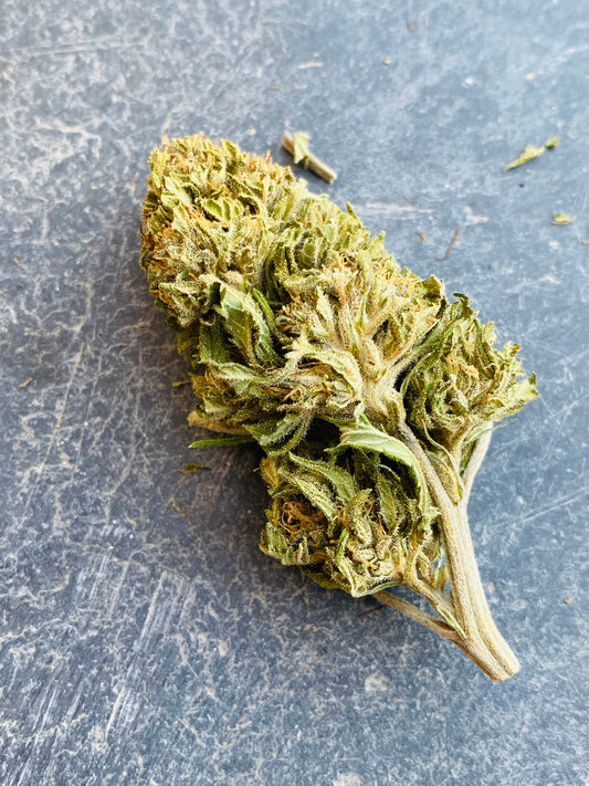 Fleurs de Enectarol CBG - L'étoile de chanvre