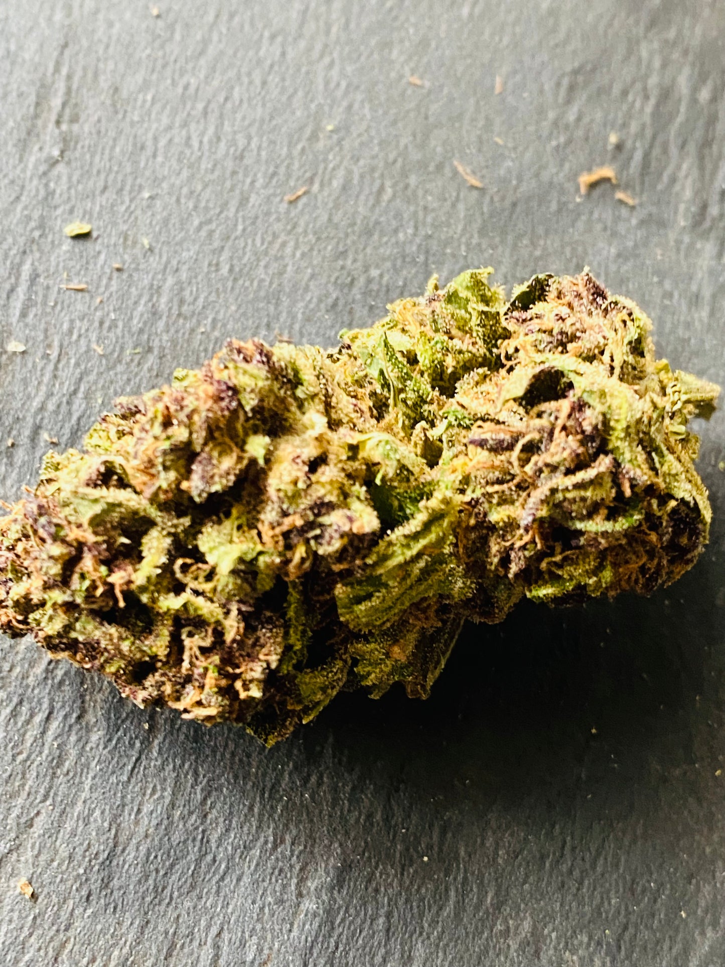 Fleurs de Juicy Funk Kush CBD (JFK) - L'étoile de chanvre