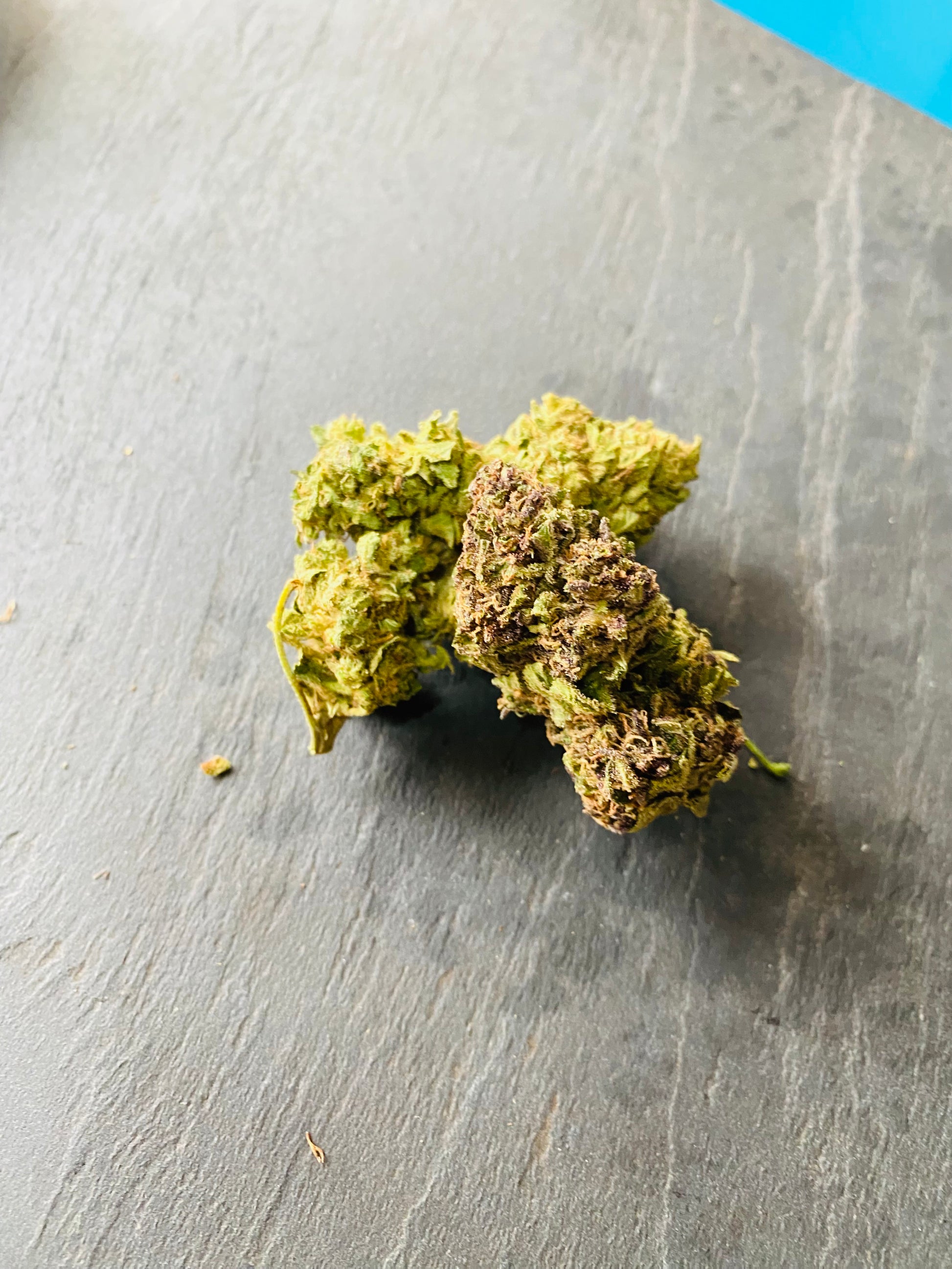 Fleurs de Juicy Funk Kush CBD (JFK) - L'étoile de chanvre
