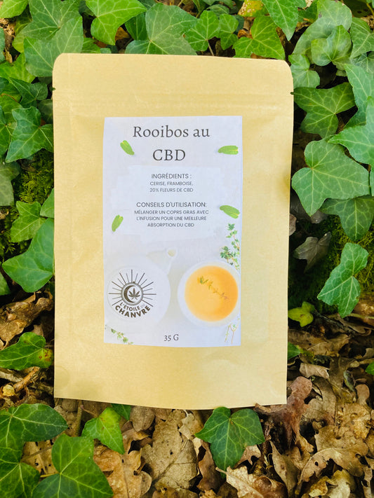 Rooibos au CBD