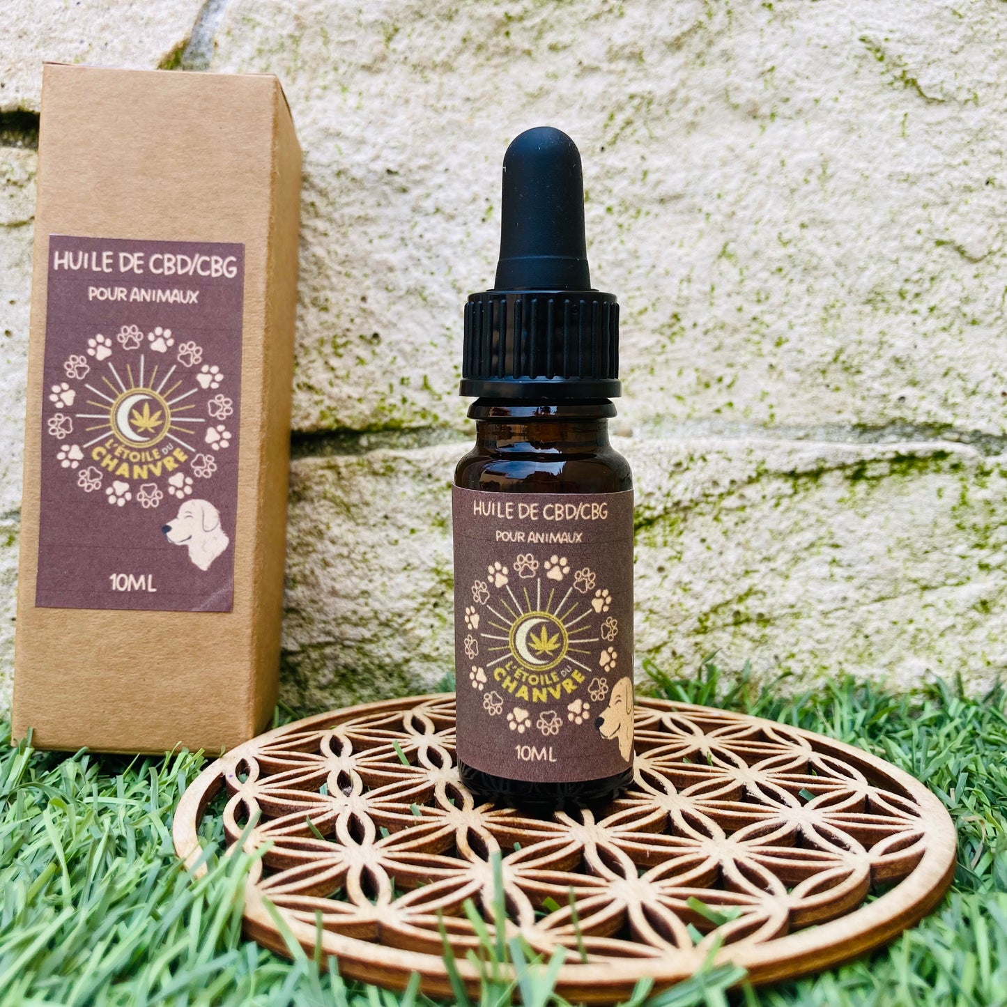 Huile CBD/CBG pour animaux : - L'étoile de chanvre